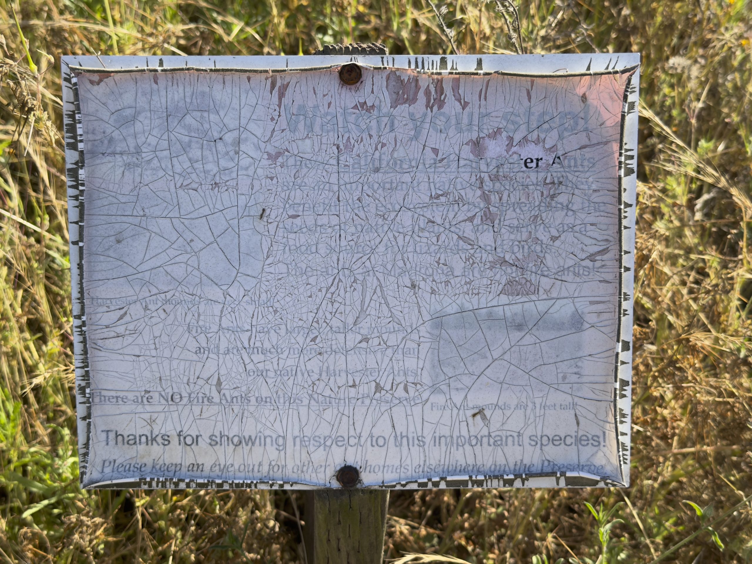 Park Sign